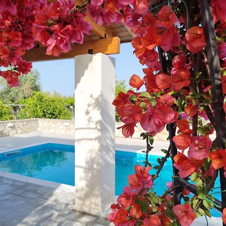 Lianas Garden House Vila Afantou Exterior foto
